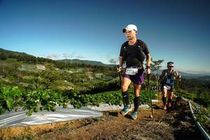 BIB: 3226
                            <button type="button" onclick="openModal(19122042)" class="btn btn-primary btn-sm float-right btn-popup" data-toggle="modal" data-target=".modal-high-quality">
                        <i class="fas fa-shopping-cart"></i> Add to Cart
                    </button>
                                            <button type="button" onclick="isThisMe(19122042, true)" class="btn btn-success btn-sm float-right btn-popup btn-isme hidden" data-toggle="tooltip" data-placement="bottom" title="นี่คือรูปของคุณใช่ไหม คลิกที่นี่เพื่อเอาเข้าอัลบั้ม">
                        <i class="fas fa-plus"></i> Add to album
                    </button>
                    <button type="button" onclick="isThisMe(19122042, false)" class="btn btn-warning btn-sm float-right btn-popup btn-isnotme hidden">
                        <i class="fas fa-ban"></i> Remove from album
                    </button>